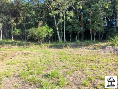 Terreno para Venda, em Santa Cruz do Sul, bairro Loteamento Ohland