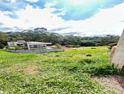 Terreno para Venda, em São Roque, bairro São João Novo