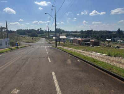 Terreno para Venda, em , bairro Esplendor