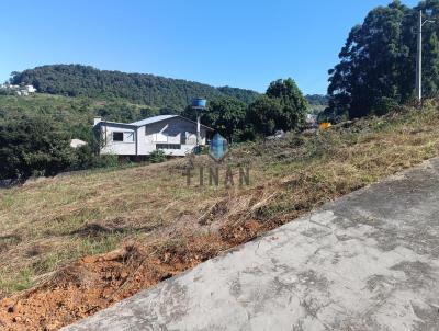 Terreno para Venda, em Concrdia, bairro Industririos