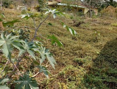 Terreno para Venda, em Itajub, bairro Vila Poddis