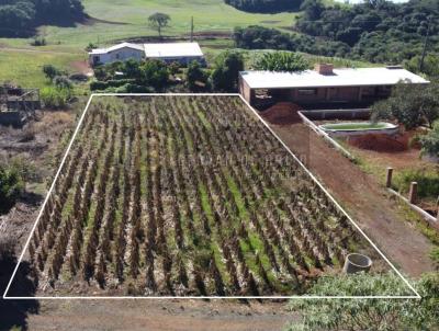 Chcara para Venda, em Erechim, bairro Interior