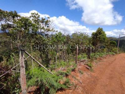 Terreno para Venda, em , bairro Albuquerque