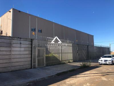 Galpo para Venda, em Abadia de Gois, bairro Bairro