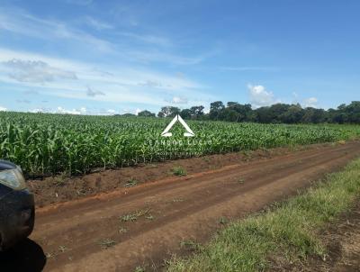 Fazenda para Venda, em Ribeiro Cascalheira, bairro Zona Rural, 3 dormitrios, 1 banheiro