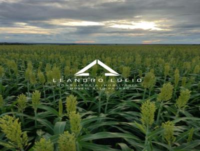 Fazenda para Venda, em Ribeiro Cascalheira, bairro Zona Rural
