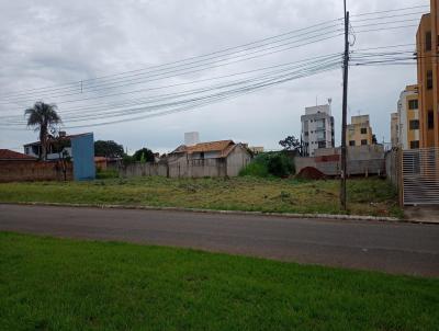 Terreno para Venda, em Goinia, bairro Vila Rosa