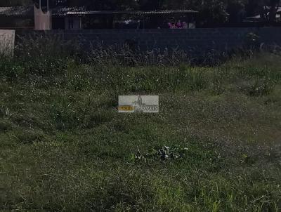 imagem-miniatura