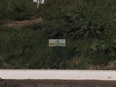 imagem-miniatura