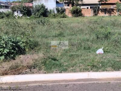 imagem-miniatura