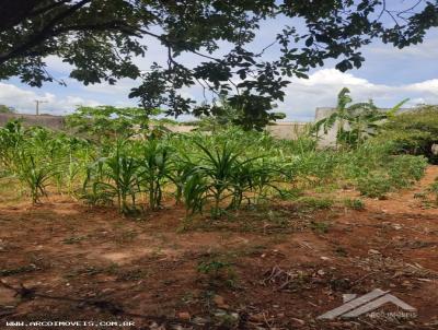 Terreno para Venda, em Alfredo Marcondes, bairro Antonio Lopes Dias