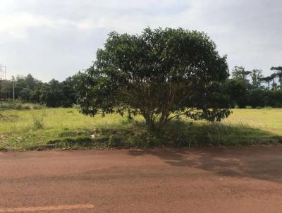 Terreno para Venda, em Cascavel, bairro Recanto Tropical, 1 banheiro