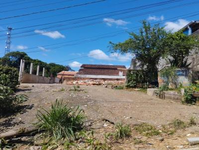 Terreno para Venda, em Joinville, bairro Joao Costa, 1 banheiro