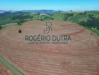 Fazenda para Venda, em Nova Ftima, bairro ZONA RURAL