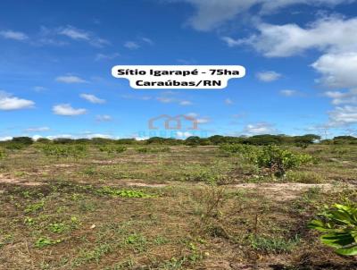 Stio para Venda, em Carabas, bairro .