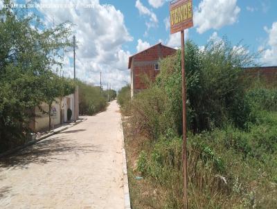Terreno para Venda, em So Raimundo Nonato, bairro BAIRRO CIP