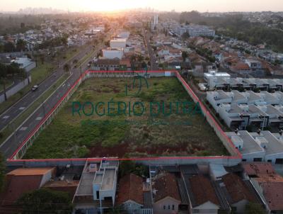 Terreno para Venda, em Londrina, bairro Operria