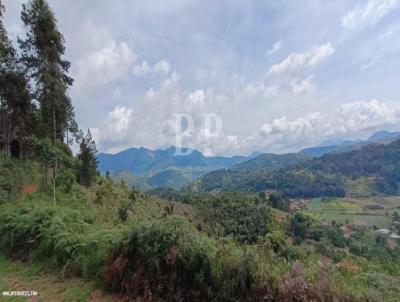 Terreno para Venda, em Terespolis, bairro Fazenda Suia