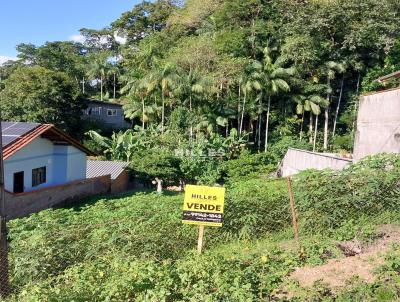 Terreno para Venda, em Blumenau, bairro Velha Central
