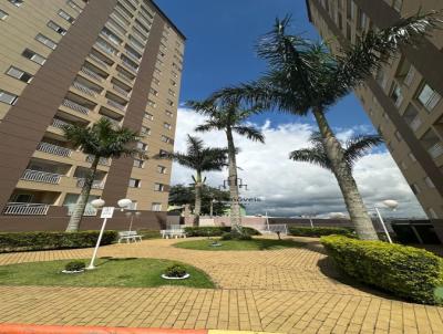 imagem-miniatura