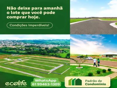 imagem-miniatura