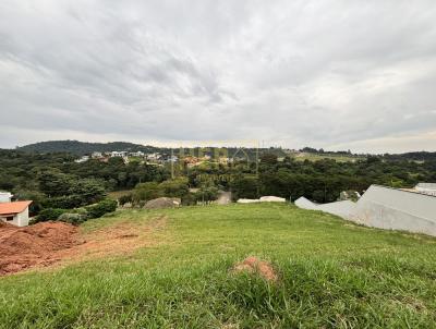 imagem-miniatura
