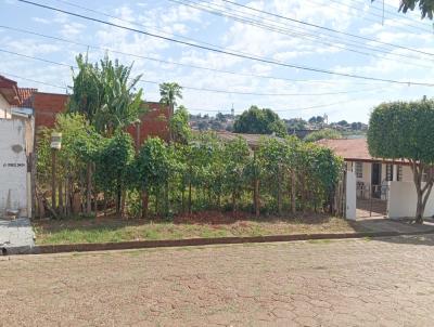 Terreno para Venda, em Presidente Venceslau, bairro Jardim Esperana