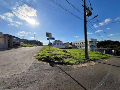 Terreno para Venda, em Telmaco Borba, bairro Nossa Senhora de Ftima