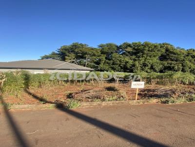 Terreno para Venda, em Trs Passos, bairro Pindorama
