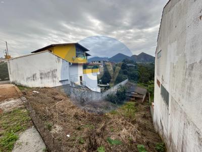 Terreno para Venda, em Nova Friburgo, bairro Braunes