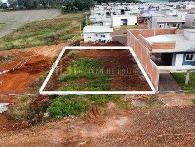 imagem-miniatura
