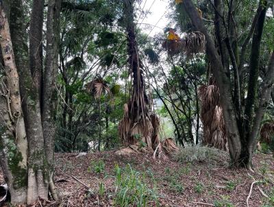Terreno em Condomnio para Venda, em Barueri, bairro Residencial Tambor