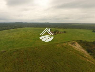 Fazenda para Venda, em Araguana, bairro rea Rural