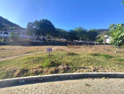 imagem-miniatura