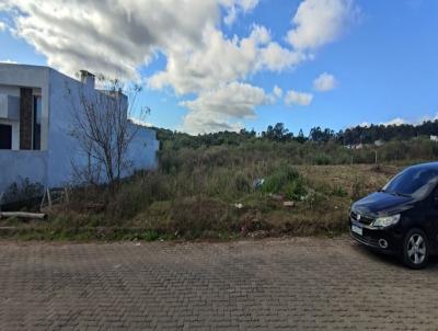 Terreno para Venda, em Canguu, bairro Teixeiras
