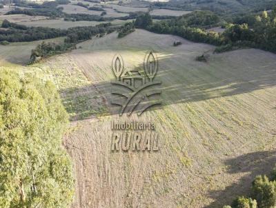 rea Rural para Venda, em Canguu, bairro 4 distrito