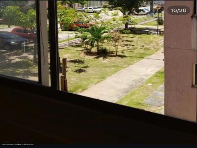 imagem-miniatura