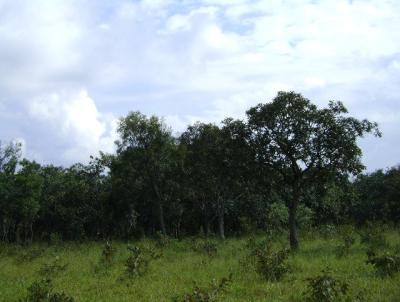 rea de Preservao Ambiental para Venda, em Tamba, bairro 