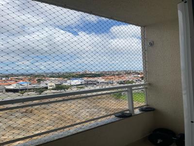 imagem-miniatura