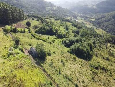 Área Rural para Venda, em Caraá, bairro Morro dos Dias