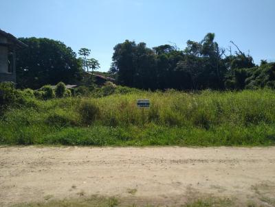 imagem-miniatura