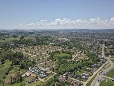 Lote para Venda, em Santa Maria, bairro Boi Morto
