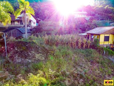 Terreno para Venda, em Nova Petrpolis, bairro Pi