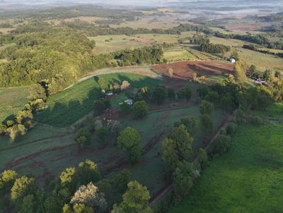 rea Rural para Venda, em Roque Gonzales, bairro ZONA RURAL