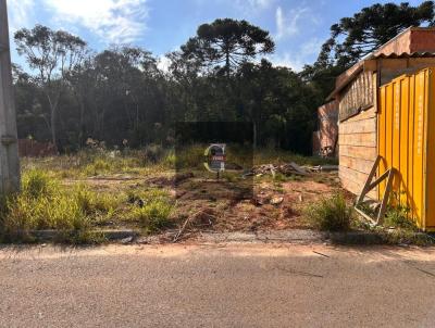 Terreno Urbano para Venda, em Fazenda Rio Grande, bairro Eucaliptos