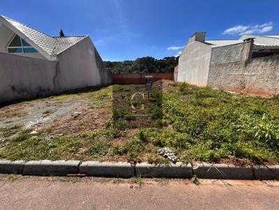 Terreno Residencial para Venda, em Fazenda Rio Grande, bairro Eucaliptos