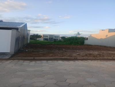 imagem-miniatura