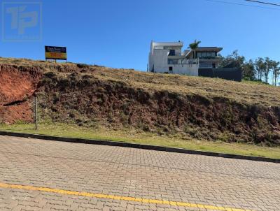 imagem-miniatura
