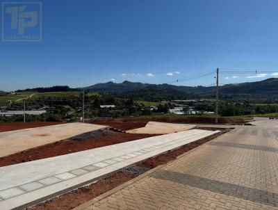 imagem-miniatura