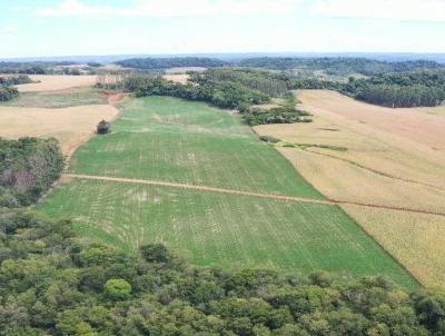 rea Rural para Venda, em Doutor Maurcio Cardoso, bairro INTERIOR